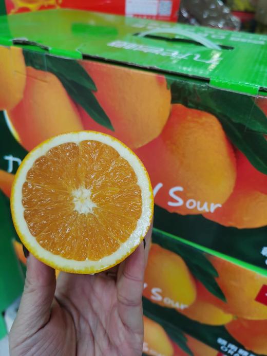 九龙 岩橙【纯甜】 商品图0