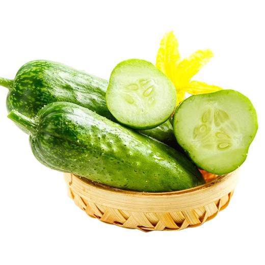新鲜果蔬 绿道带刺小黄瓜 500g/盒 商品图1