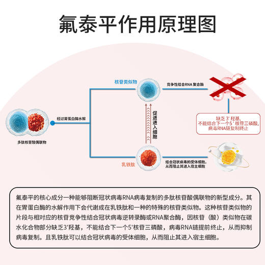 氟泰平-抗冠状胶囊 商品图2