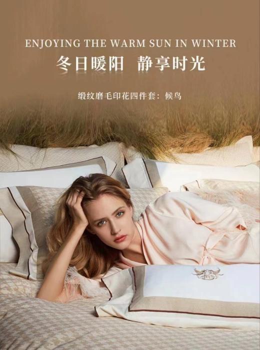 梦洁纯棉精梳磨毛四件套 候鸟 商品图0
