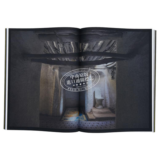 【中商原版】Momentum of Light 进口艺术 光的动力 商品图6