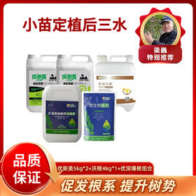 葡萄定植后三水方案