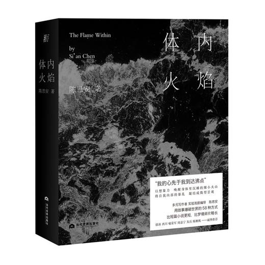 体内火焰 陈思安 著 商品图1