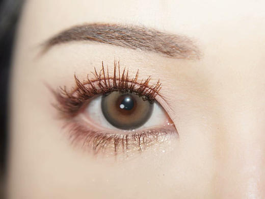 Papadox 炭烧坚果棒 半年抛 两片 14.5mm 参考着色14.0mm 基弧8.6 含水38% 韩国进口 商品图2