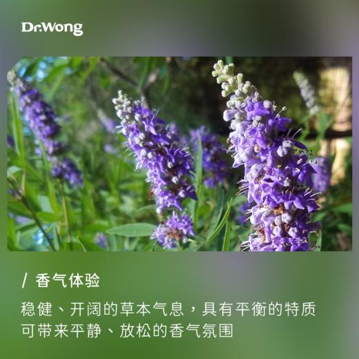 贞节树 单方精油 商品图1
