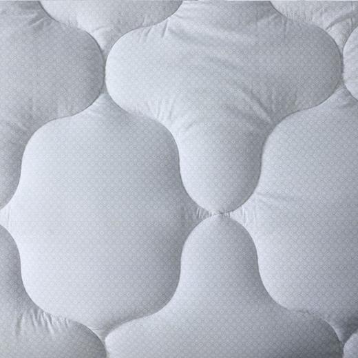 水星家纺Mercury DH清朗净醛抗菌羽丝绒ⅱ 商品图2