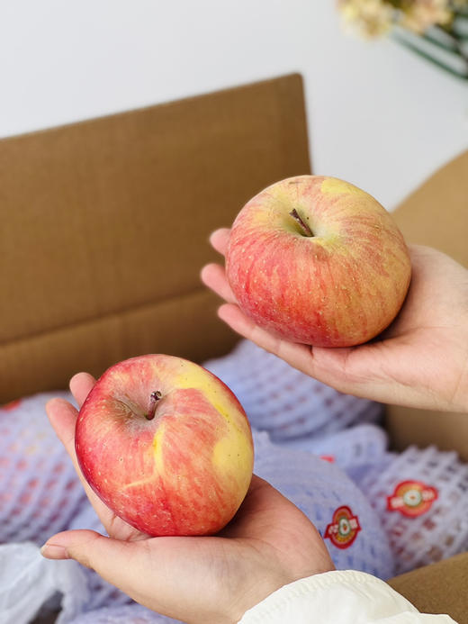 正宗阿克苏小糖心苹果🍎，来自阿克苏核心产区红旗坡，甜甜甜，脆甜口感，顺应时节，有的糖心已化，有概率没糖心的情况，但是都好吃，介意勿拍 商品图7