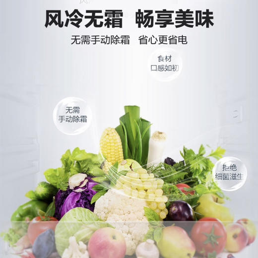 海尔（Haier）冰箱BCD-218WGHC3E7Y1 商品图3