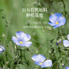 晟麦有机亚麻籽油100ml*5套组 Omega含量52%-70%   出口品质 食用油 商品缩略图4