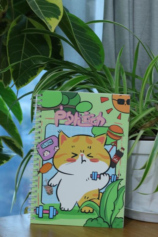 番茄口袋原创线圈本 商品图8