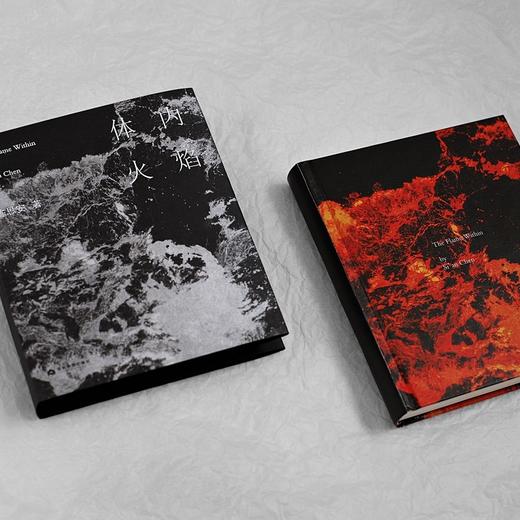 体内火焰 陈思安 著 商品图4