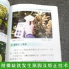 柑橘常见缺素症状图谱及矫正技术 【官方正版，可开发票，下单时留开票信息和电子邮箱】 商品缩略图3
