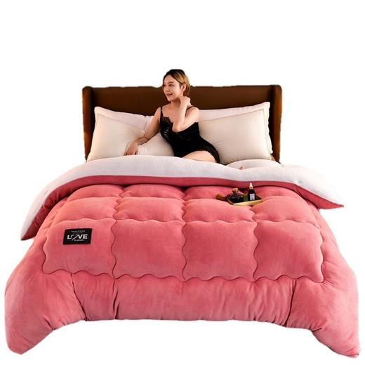 百媚生 羊羔绒被子双面绒春秋被冬被冬季保暖加厚被子0789 商品图4