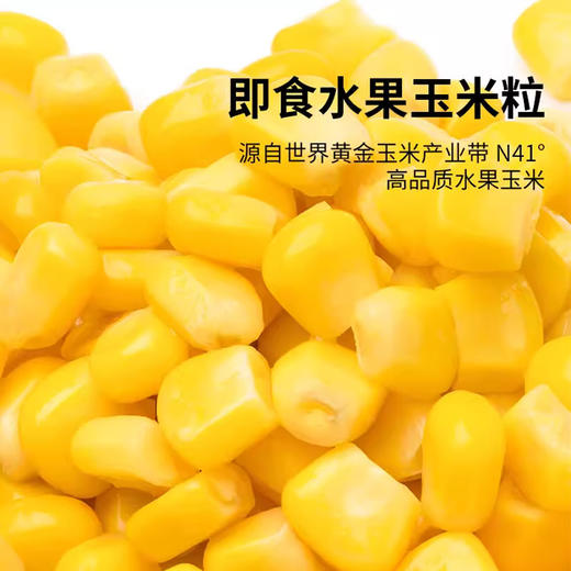 I【会员专享】百莱威甜玉米粒1kg/袋  10袋/件 商品图2