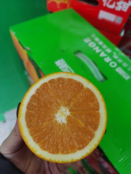 九龙 岩橙【纯甜】 商品图1