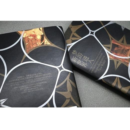 梦游进入新世界：12世纪意大利城市公社的出现（英）克里斯·威克姆 著 商品图5