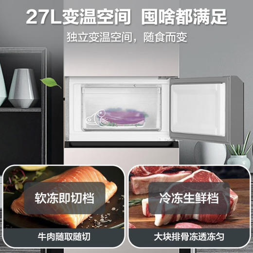 海尔（Haier）冰箱BCD-218WGHC3E7Y1 商品图2