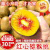 产地直供【巨好吃！红心猕猴桃】香甜多汁，丰富果肉现货四川浦江猕猴桃纯甜无酸奇异水果果 商品缩略图0