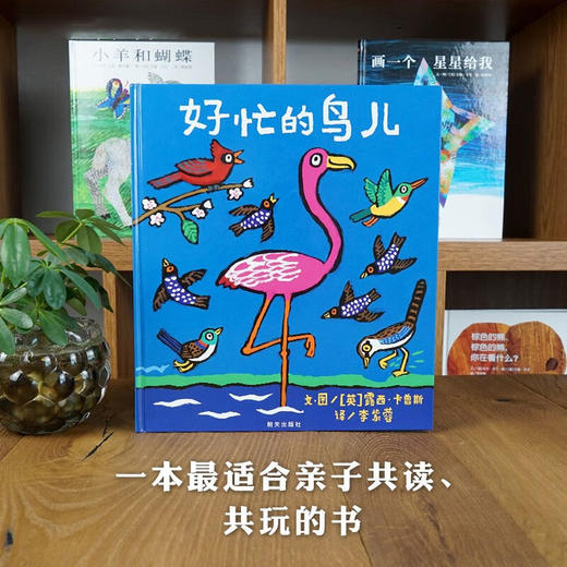好忙的鸟儿 3-6岁 露西·卡曾斯 著 绘本 商品图1