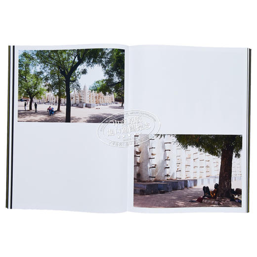 【中商原版】Momentum of Light 进口艺术 光的动力 商品图7