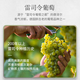 露森（Dr. Loosen）经典白标 雷司令半甜型白葡萄酒 750ml单瓶装 德国进口摩泽尔产区