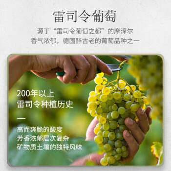 露森（Dr. Loosen）经典白标 雷司令半甜型白葡萄酒 750ml单瓶装 德国进口摩泽尔产区 商品图0