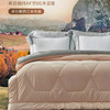 【爆】【6F】富安娜卓尔新西兰100%羊毛春秋被  米色&灰色双面撞色，吊牌价1280元，活动价299元 商品缩略图0