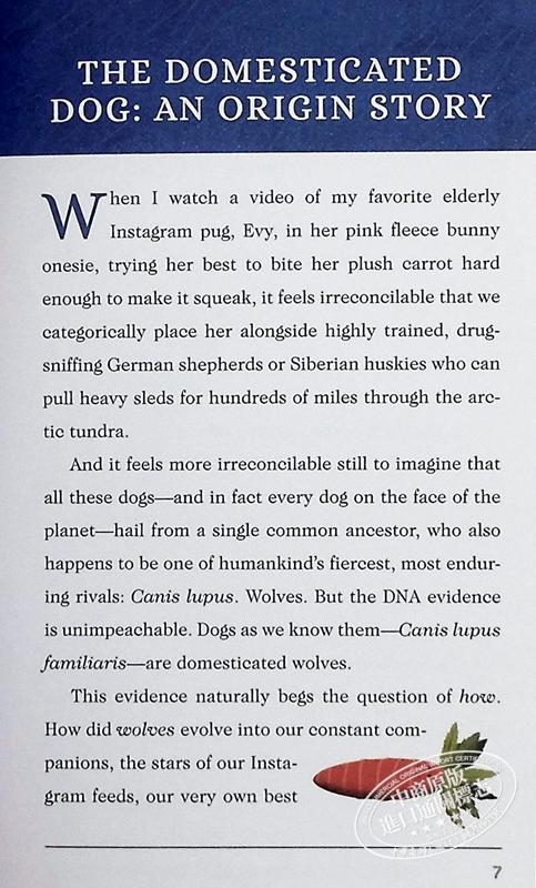 【中商原版】这是一本给爱狗的人的书 This Is a Book for People Who Love Dogs 英文原版 Meg Freitag 狗狗图鉴 商品图6