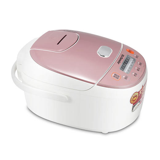 九阳电饭煲多功能家用2-6人智能电饭煲F-30FE01 白色 01 白色 商品图3