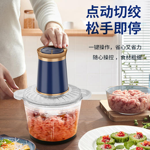 【自营】谷格（GUGE）绞肉机 G116 商品图2