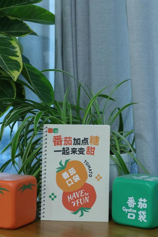 番茄口袋原创线圈本 商品图9