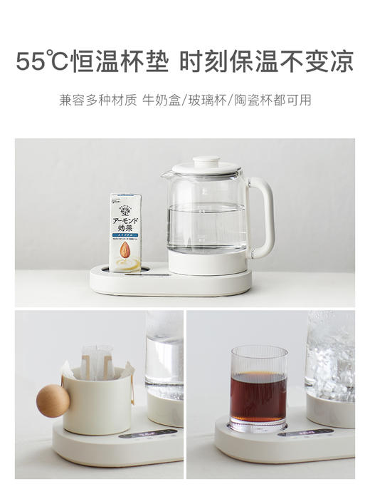 olayks欧莱克养生壶小型办公室恒温家用多功能玻璃烧水壶煮茶壶 商品图4