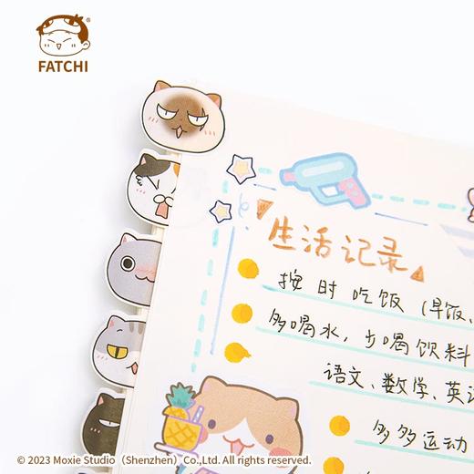 萌想诚品【纸胶带】如果历史是一群喵肥志官方周边喵咪卡通贴纸 商品图3