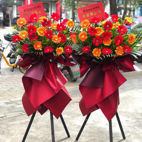 鸿运当头（红色系开业花篮）