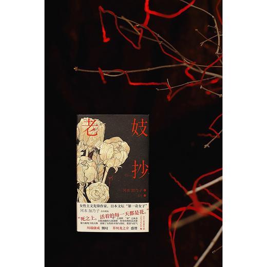 老妓抄（日）冈本加乃子 著 商品图3