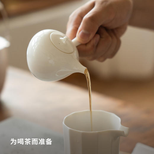 无花果壶2.0 商品图3