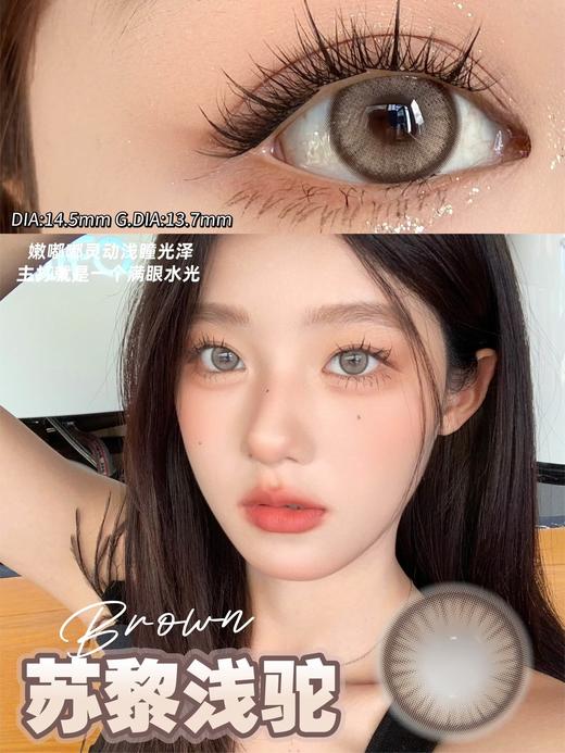 doragina 北岛银光 灰褐/苏黎浅驼 棕 14.5mm 半年抛 含硅水凝胶 商品图1