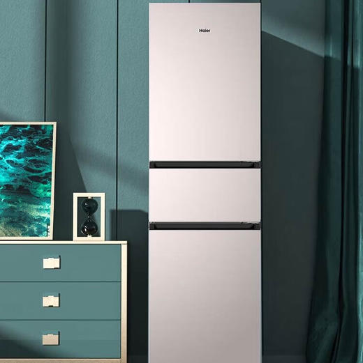 海尔（Haier）冰箱BCD-218WGHC3E7Y1 商品图6