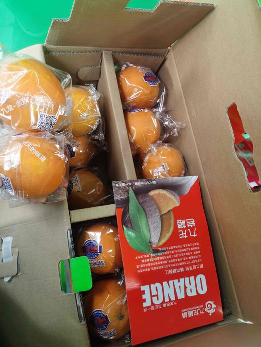 九龙 岩橙【纯甜】 商品图4