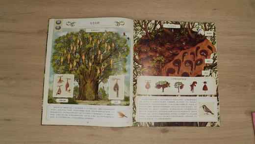 《动物建筑师》零距离接触动物家园，感受超凡的生物智慧 商品图4