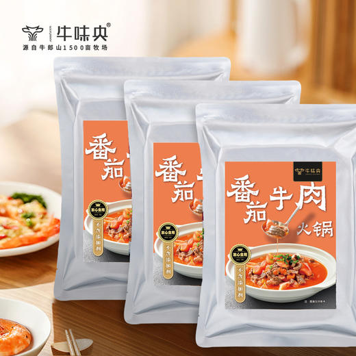 番茄牛肉火锅880g 商品图0