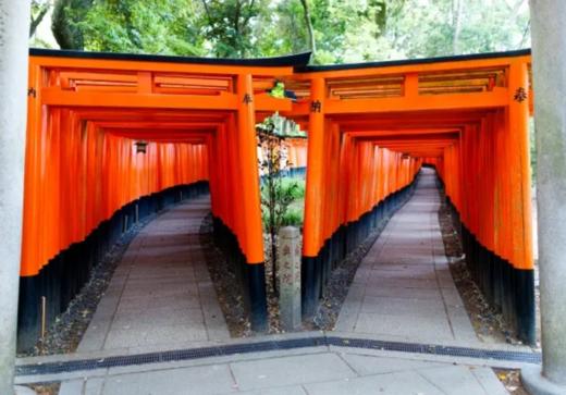 大阪出发 京都一日游 黄金路线 巴士之旅【需二次确认】B-0046 商品图1