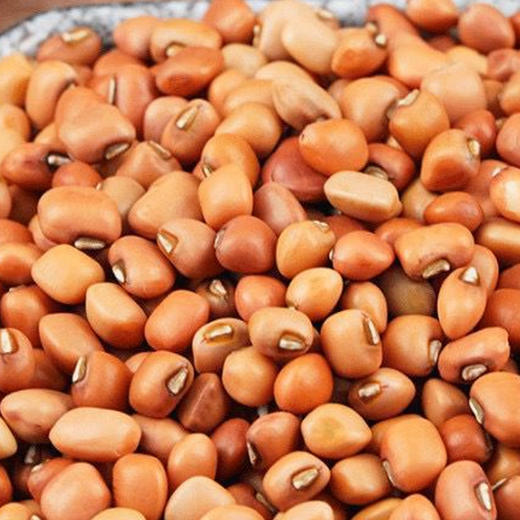 河谷上方 粉豇豆 500g*5袋 商品图3