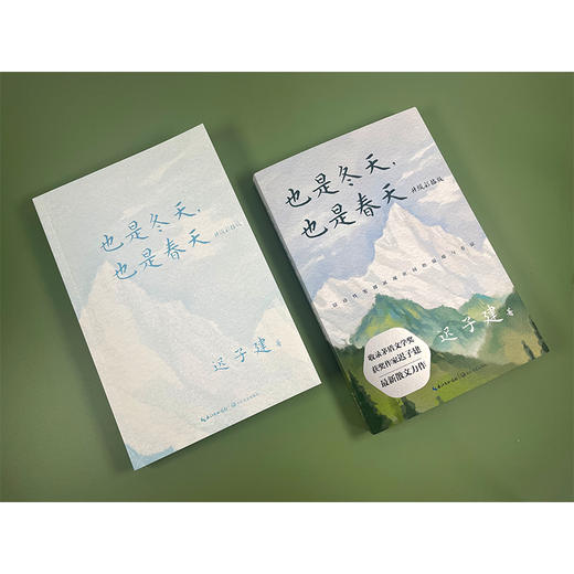 《也是冬天，也是春天》升级彩插版，生活总有裂缝，那是光照进来的地方。 商品图5