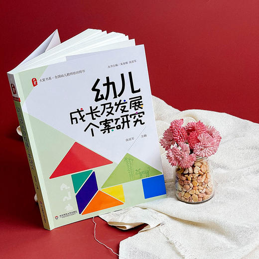 幼儿成长及发展个案研究 幼儿教师培训用书 张亚军 大夏书系 商品图4