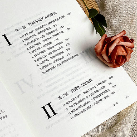 给班主任的59条心理学建议 大夏书系 林萍著 商品图6