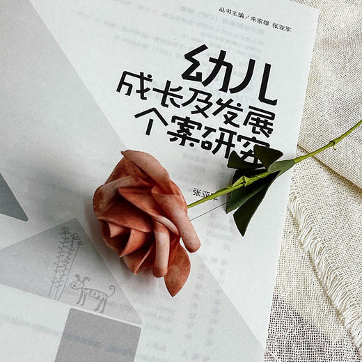 幼儿成长及发展个案研究 幼儿教师培训用书 张亚军 大夏书系 商品图6