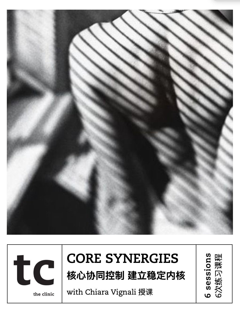 Core Synergies 核心协同控制
