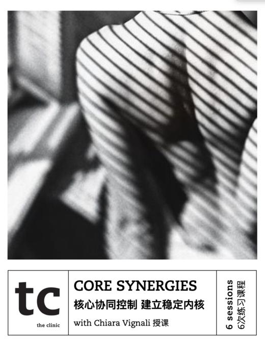 Core Synergies 核心协同控制 商品图0