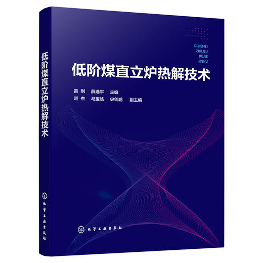 低阶煤直立炉热解技术 商品图4